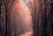 马德里竞技队后卫表现出色，对抗尤文图斯