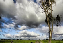 马赛主场击败利尔，狂欢庆祝大胜