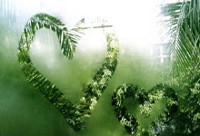 足球赛场上的技战术较量精彩纷呈