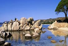 法国战胜芬兰，取得惊人连胜纪录